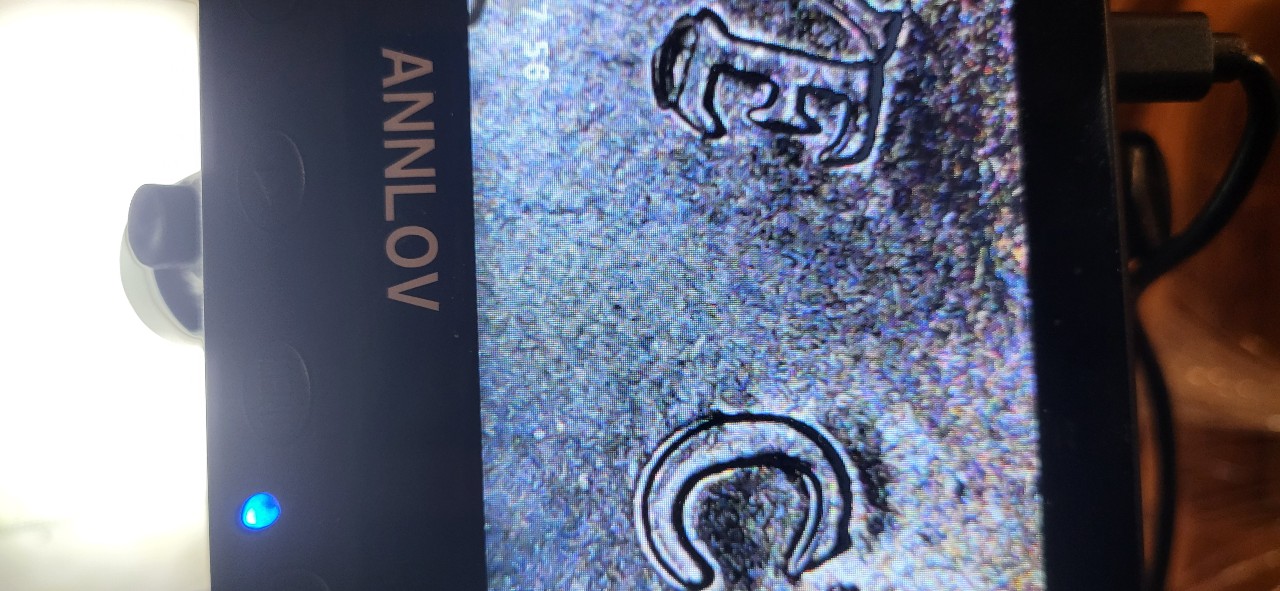 2023-P-Nickel-Possible-Errors